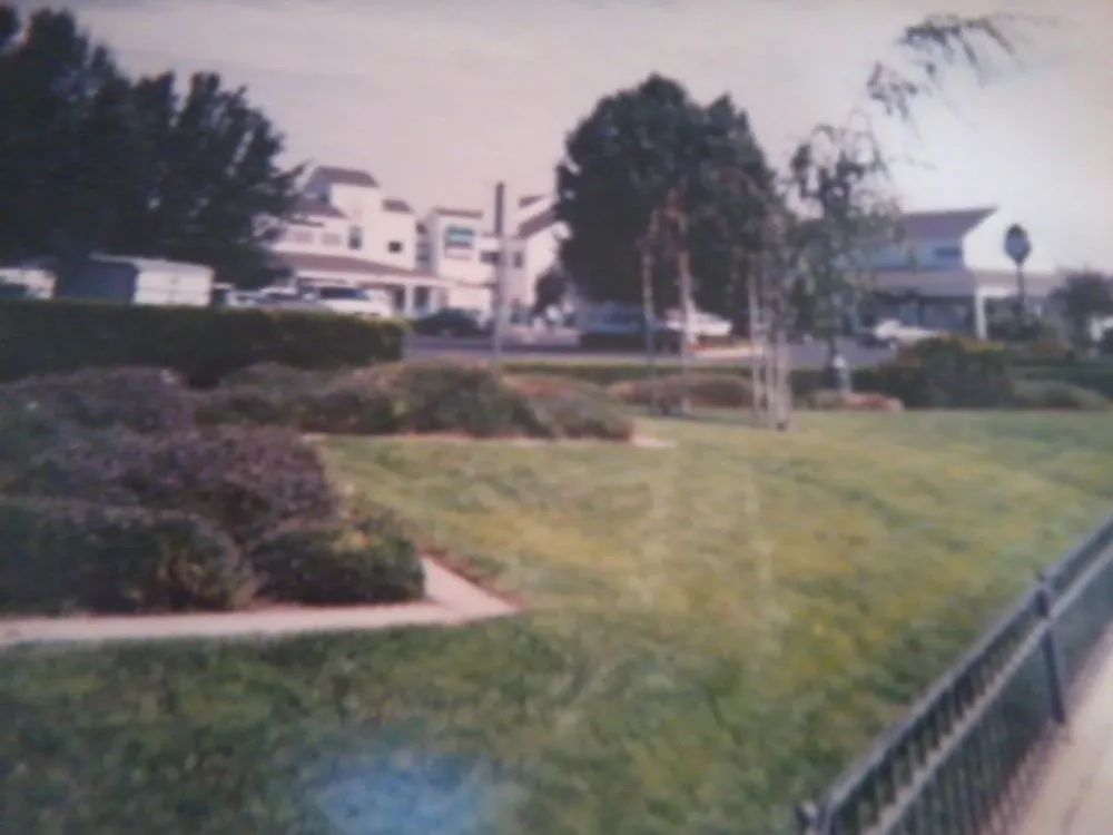 Reliable lawn care service for beautiful yards across Turlock, CA - Fletcher Landscape Maintenance