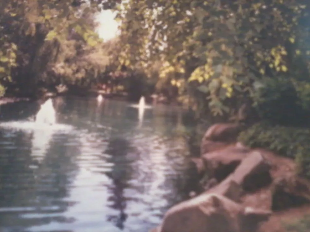 Professional outdoor landscaping for residential properties in Turlock, CA by Fletcher Landscape Maintenance