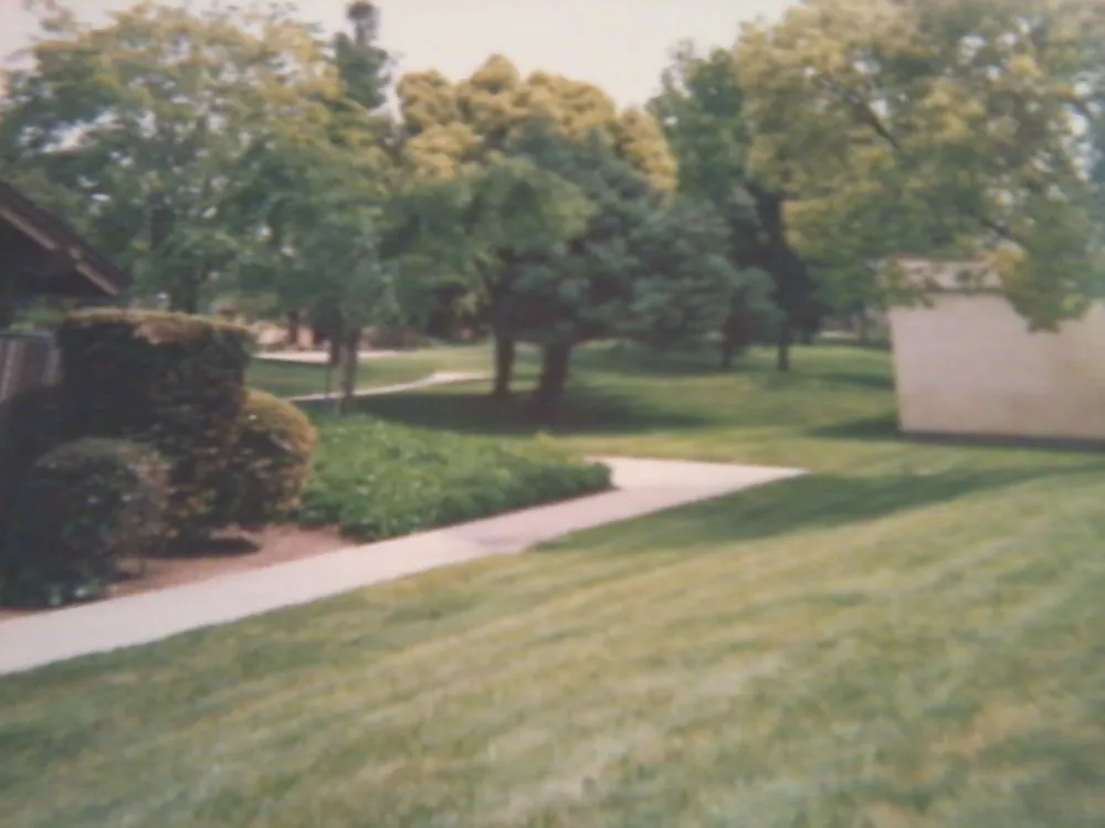 Reliable lawn care service in Turlock, CA - Fletcher Landscape Maintenance