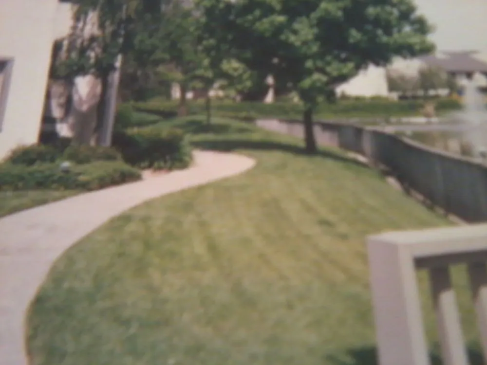 Custom garden landscaping with custom design in Turlock, CA by Fletcher Landscape Maintenance
