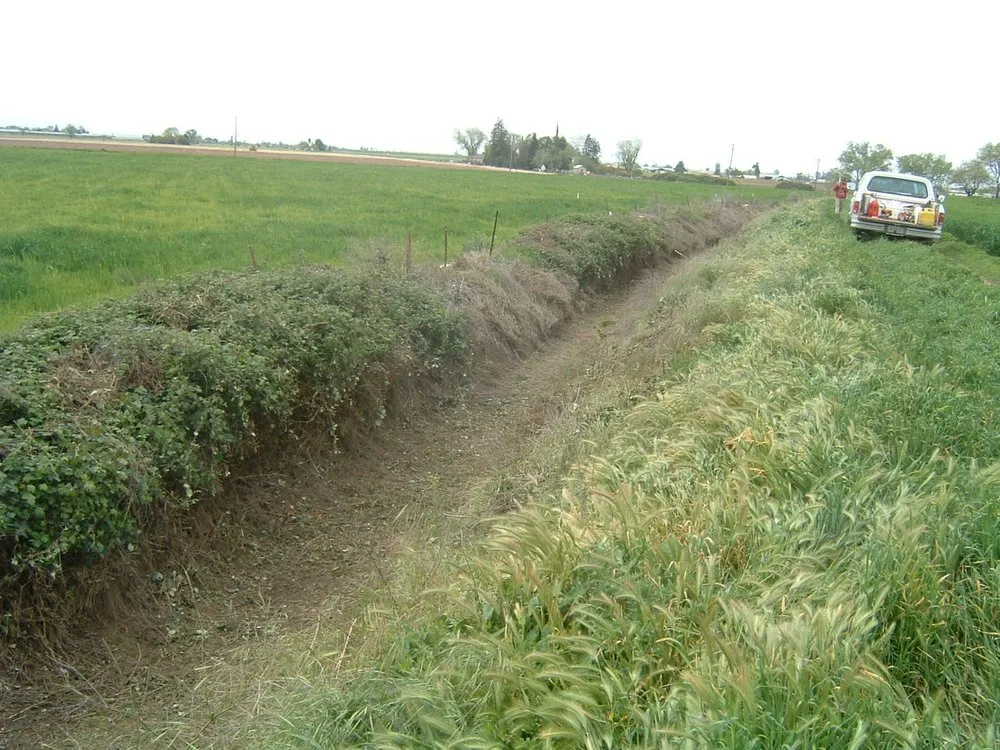 Affordable landscaping services experts serving Turlock, CA - Fletcher Landscape Maintenance