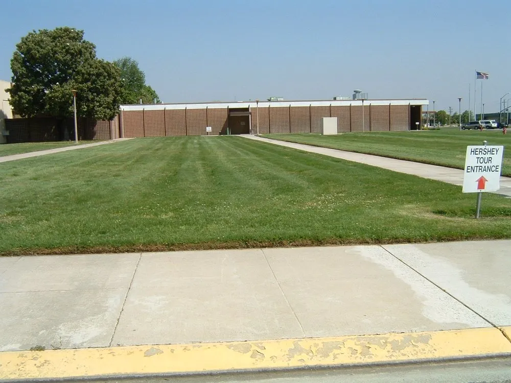 Expert yard maintenance in Turlock, CA - Fletcher Landscape Maintenance