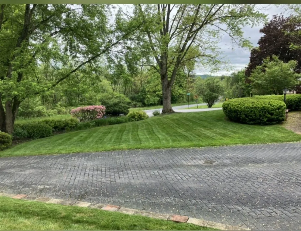Top-rated yard cleanup service in Clearfield, PA - Fletcher Landscaping
