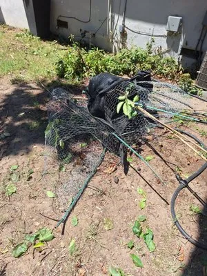 Fletcher's Landscape & Maintenance