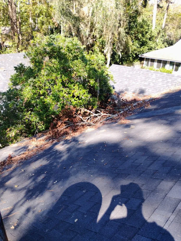 Professional landscaping services for residential properties in Savannah, GA by Fletchers Loving Lawns