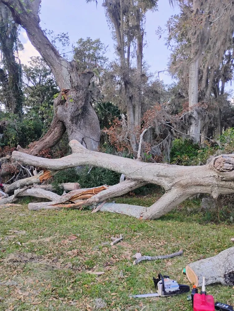 Affordable garden landscaping for year-round maintenance across Savannah, GA - Fletchers Loving Lawns