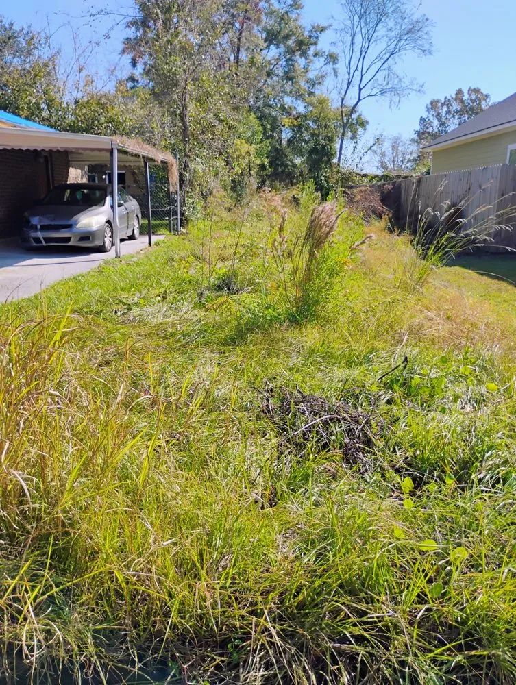 Affordable lawn care service in Savannah, GA - Fletchers Loving Lawns