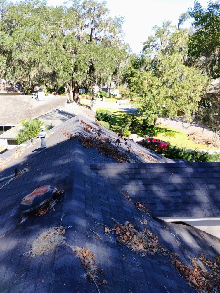 Top-rated landscaping services in Savannah, GA - Fletchers Loving Lawns