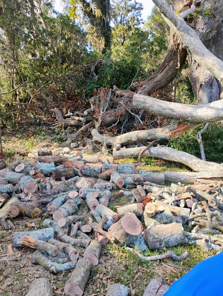 Affordable residential landscaping near you across Savannah, GA - Fletchers Loving Lawns