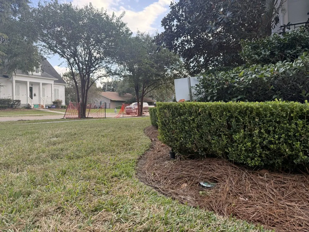 Professional outdoor landscaping for homes in Jefferson, LA by Fleur De Lawns
