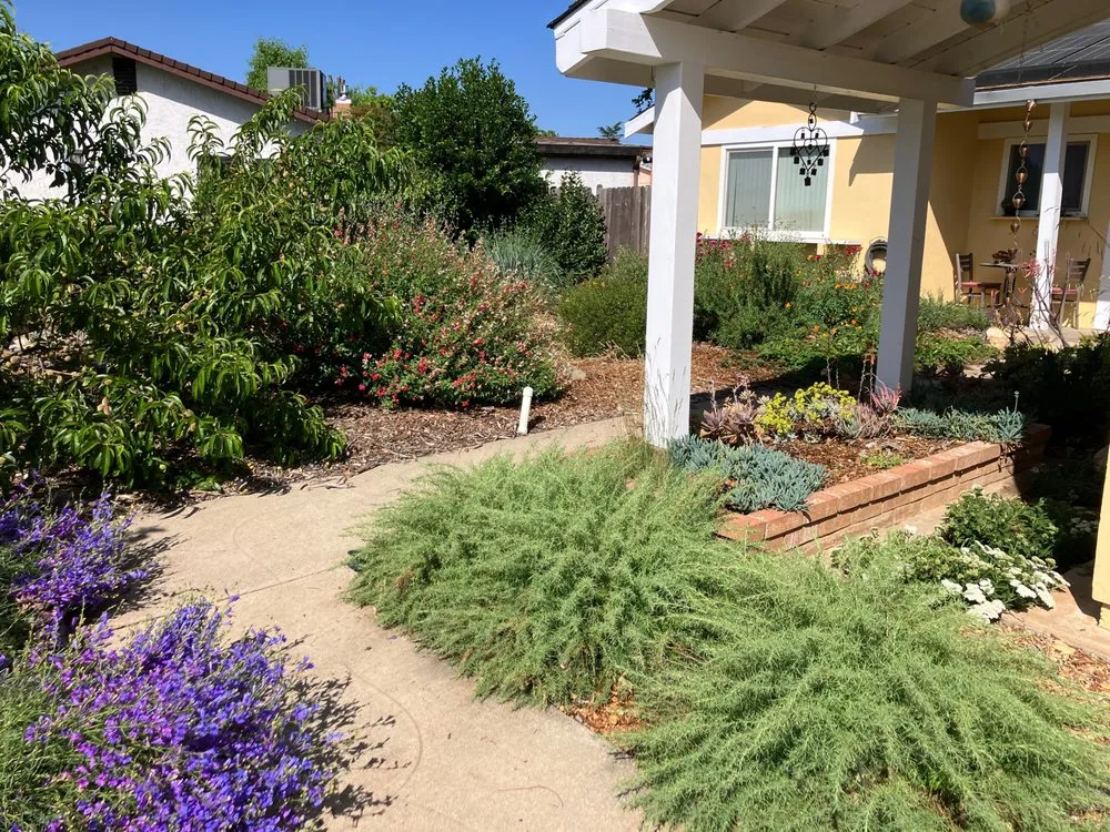 Trusted garden landscaping in Sacramento, CA - Fleur Gardening