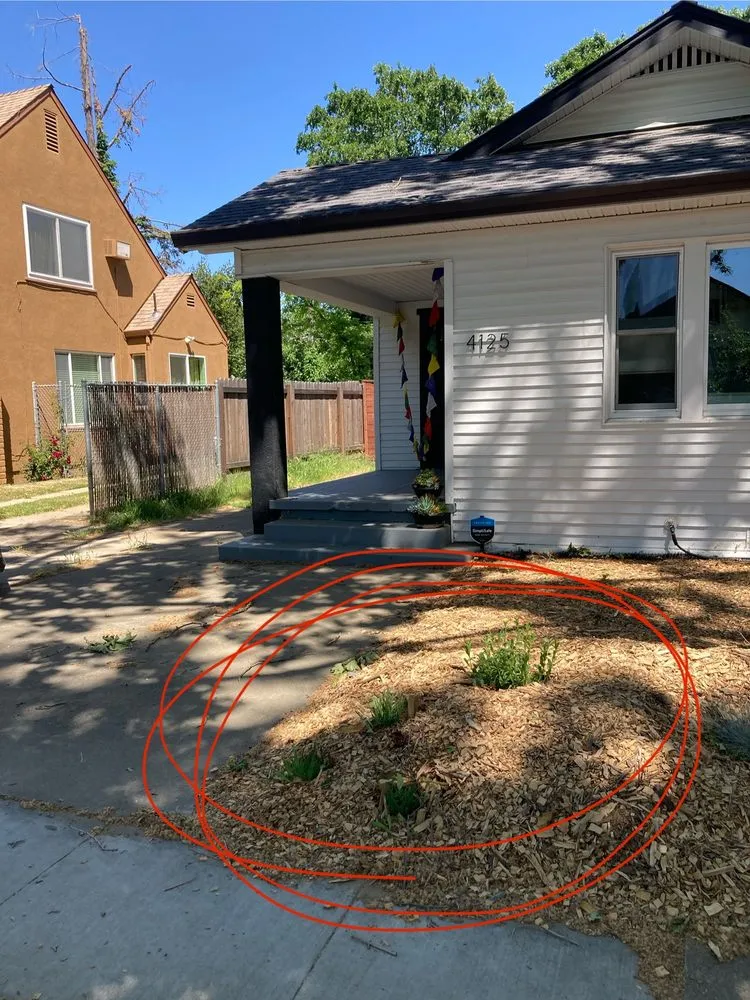 Top-rated landscape design in Sacramento, CA by Fleur Gardening