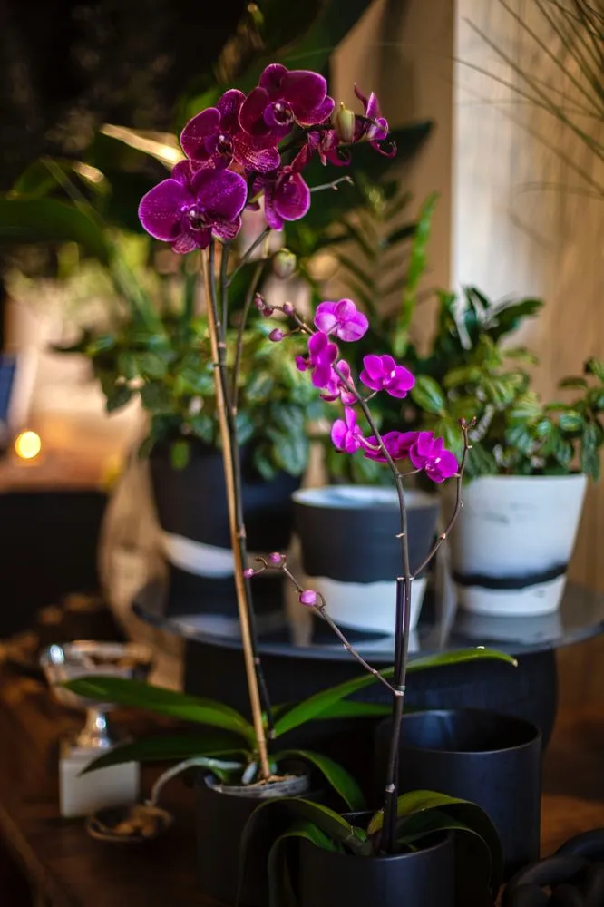 Top-rated outdoor landscaping experts serving Bloomfield Hills, MI - Fleurdetroit