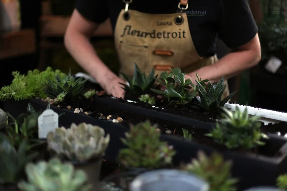 Expert landscaping services in Bloomfield Hills, MI - Fleurdetroit