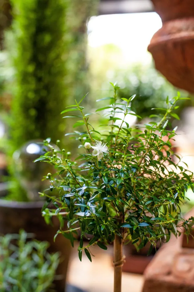 Expert landscape installation for outdoor upgrades across Bloomfield Hills, MI - Fleurdetroit