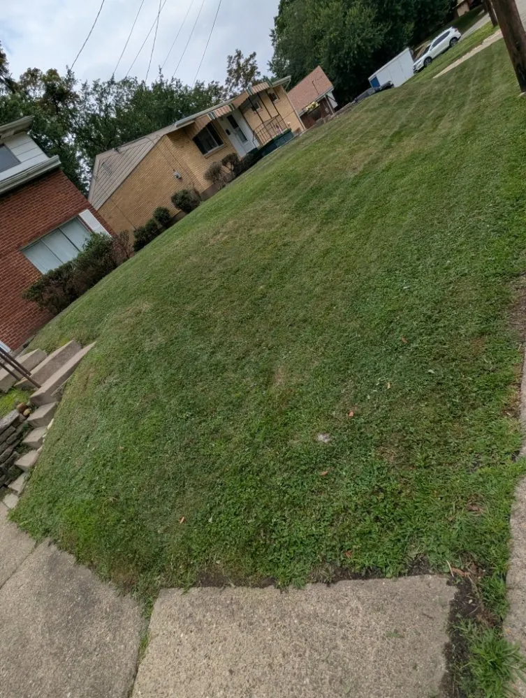 Local landscape design for residential properties across Pittsburgh, PA - Fleurvil