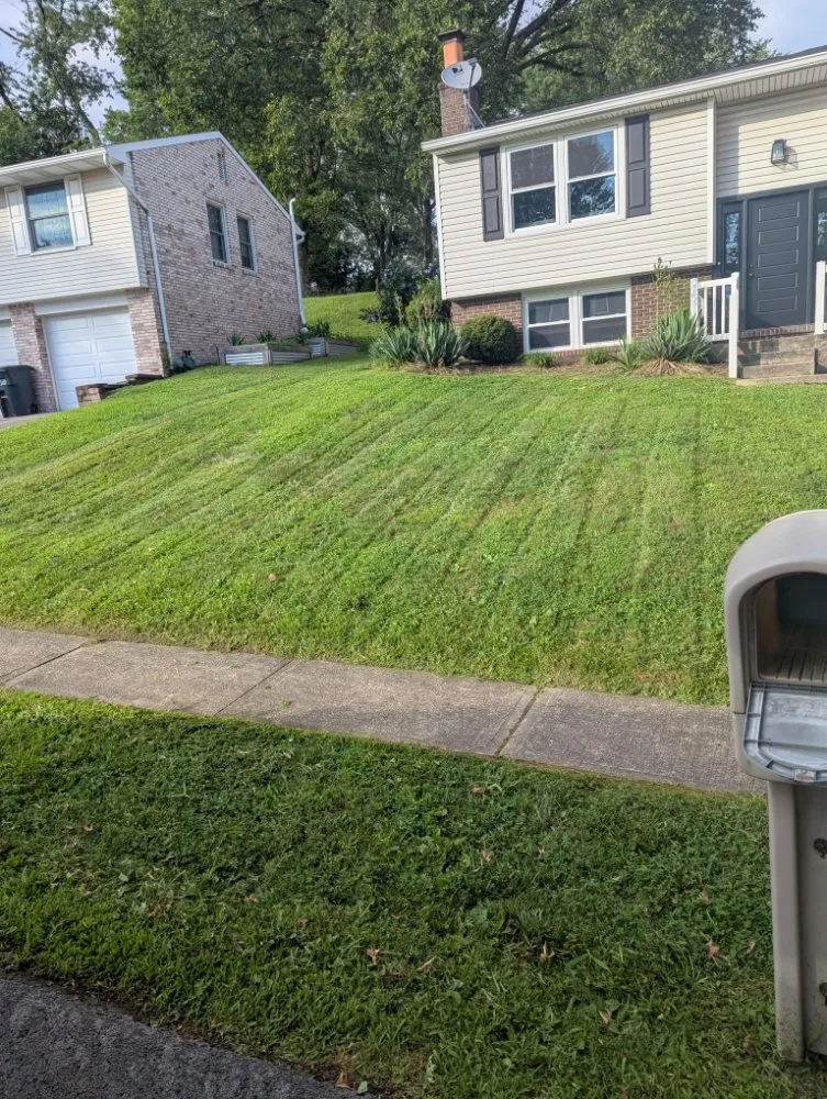 Affordable landscape design for homes across Pittsburgh, PA - Fleurvil