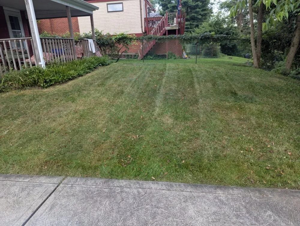 Expert landscape installation for residential properties in Pittsburgh, PA by Fleurvil