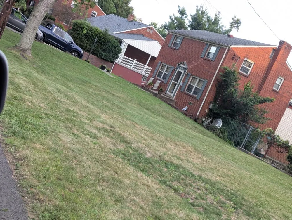 Professional lawn care service for outdoor upgrades in Pittsburgh, PA by Fleurvil