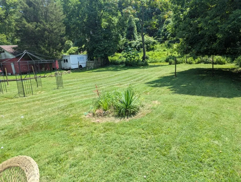 Expert lawn care service near you across Pittsburgh, PA - Fleurvil