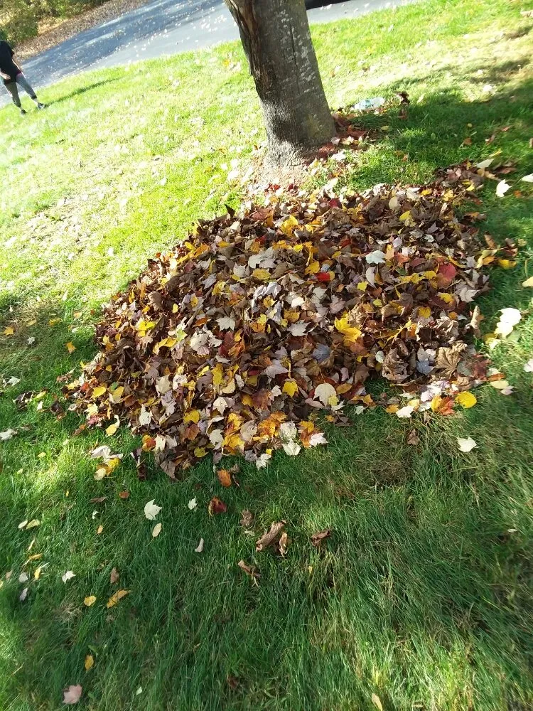 Professional outdoor landscaping for beautiful yards in Hudson Falls, NY by Flewelling SealCoating & Property Maintenance