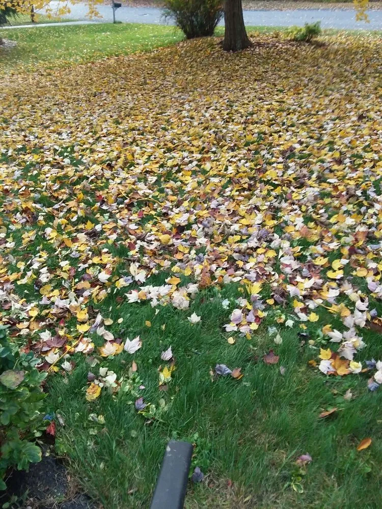 Affordable residential landscaping in Hudson Falls, NY by Flewelling SealCoating & Property Maintenance