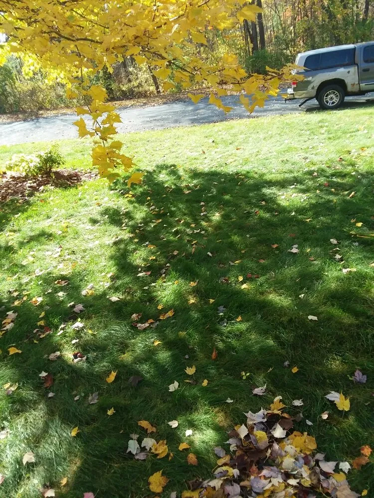 Local lawn mowing service for outdoor upgrades across Hudson Falls, NY - Flewelling SealCoating & Property Maintenance