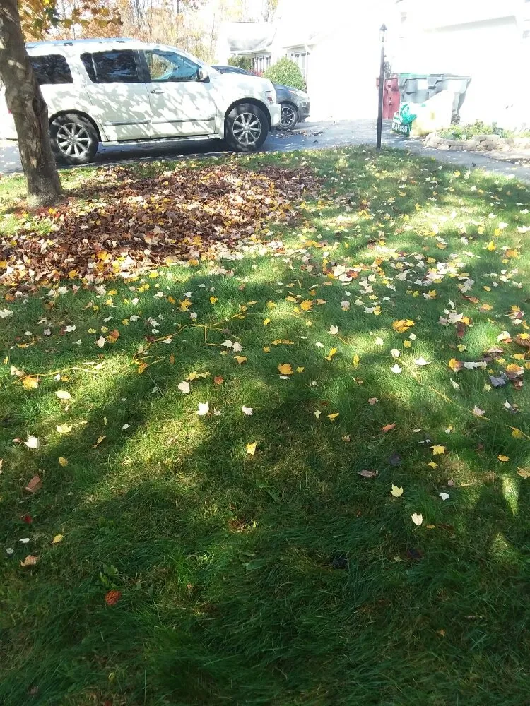 Professional yard maintenance in Hudson Falls, NY by Flewelling SealCoating & Property Maintenance