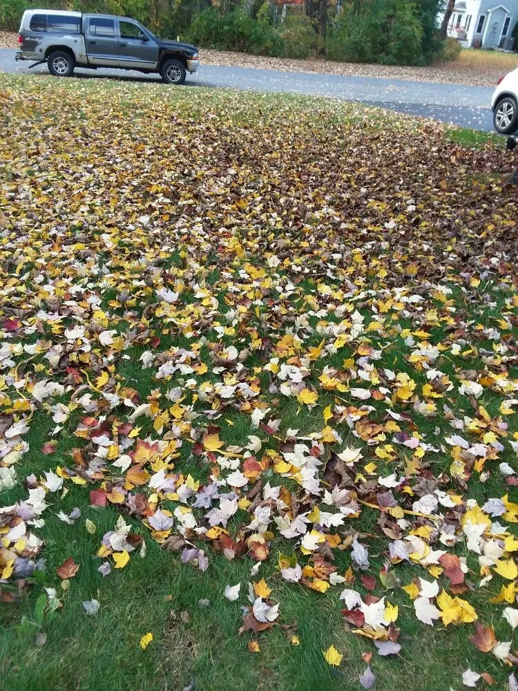 Local outdoor landscaping for residential properties across Hudson Falls, NY - Flewelling SealCoating & Property Maintenance