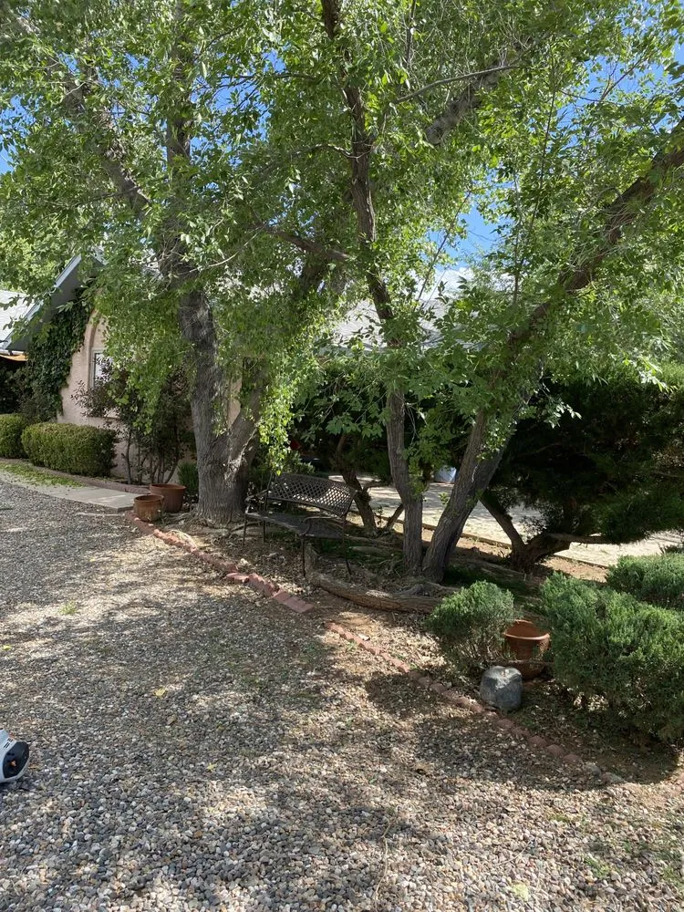 Trusted yard maintenance in Prescott, AZ by Flexible Solutions Land Management