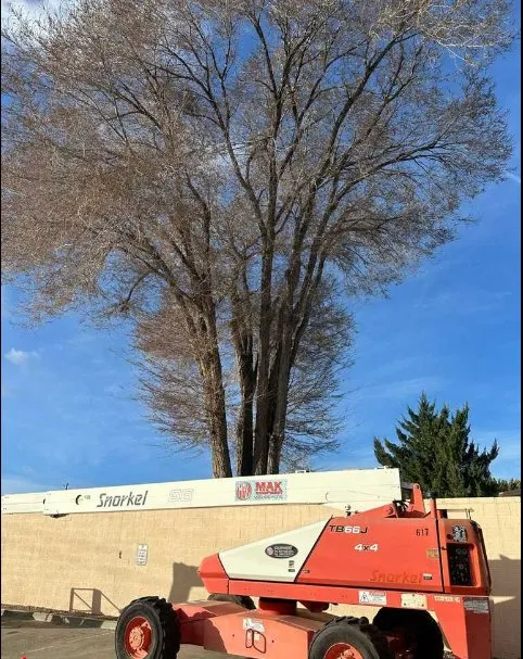 Reliable yard maintenance for residential properties in Prescott, AZ by Flexible Solutions Land Management