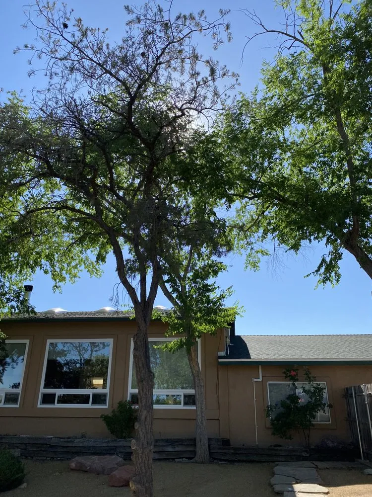 Trusted lawn care service in Prescott, AZ by Flexible Solutions Land Management