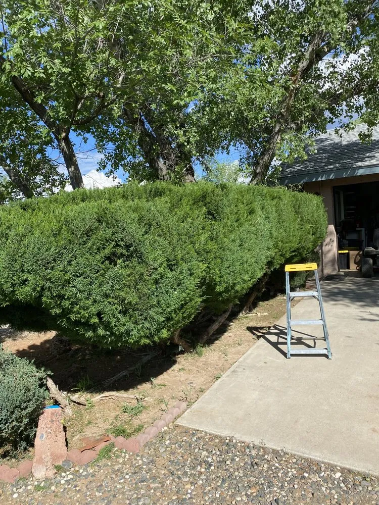 Affordable outdoor landscaping with custom design across Prescott, AZ - Flexible Solutions Land Management