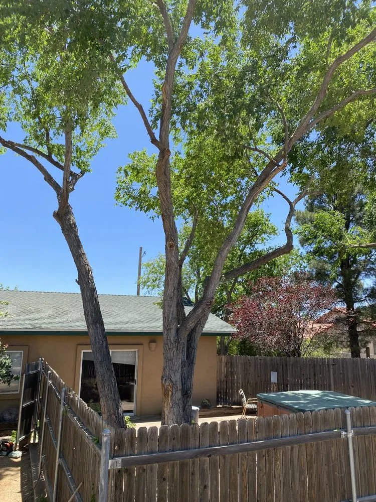 Custom landscape design experts serving Prescott, AZ - Flexible Solutions Land Management