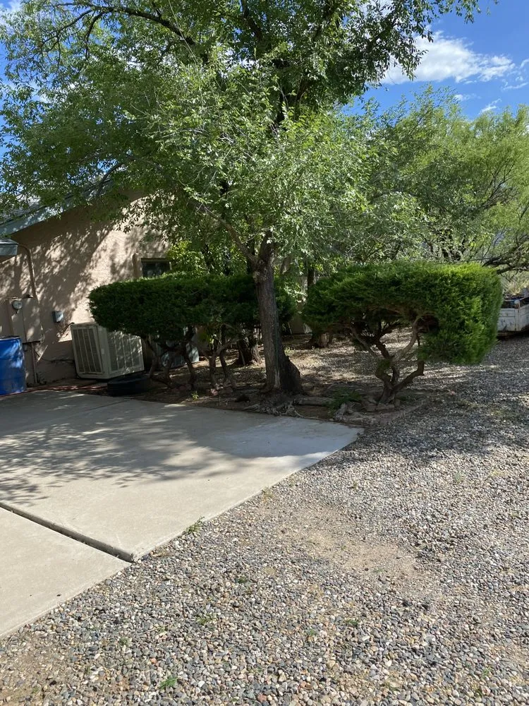 Reliable outdoor landscaping in Prescott, AZ - Flexible Solutions Land Management