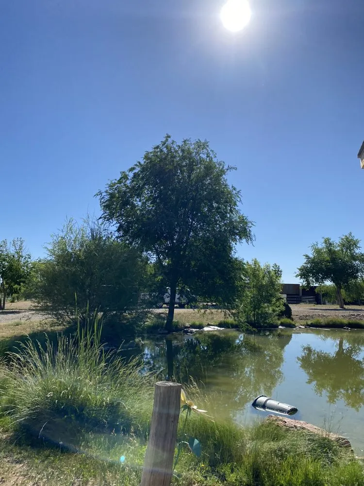 Top-rated landscaping services for residential properties in Prescott, AZ by Flexible Solutions Land Management