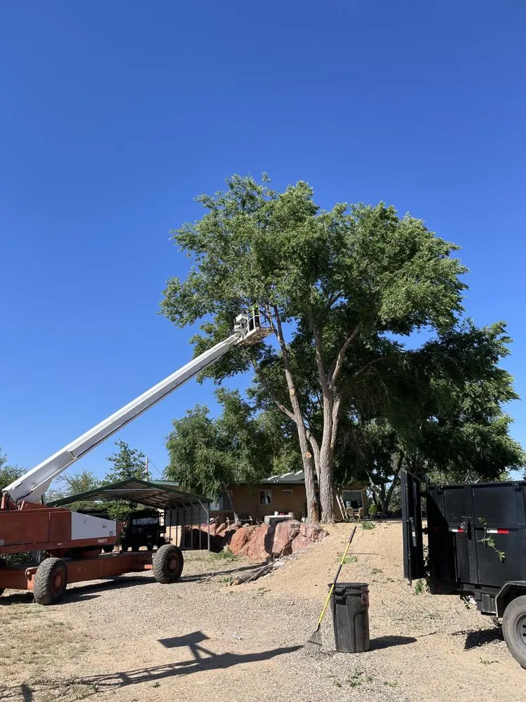 Local yard cleanup service for year-round maintenance in Prescott, AZ by Flexible Solutions Land Management