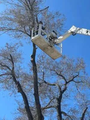 Professional landscape installation for residential properties in Prescott, AZ by Flexible Solutions Land Management