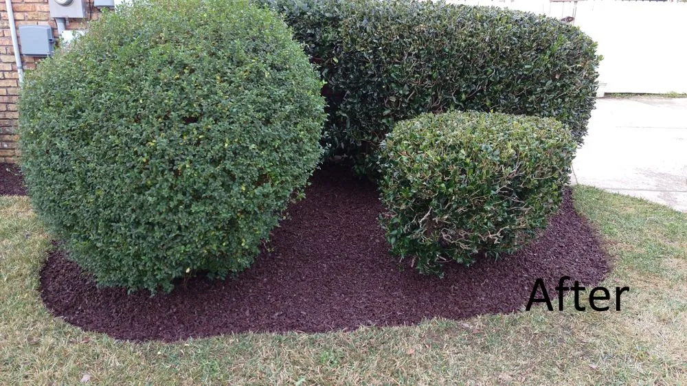 Expert lawn mowing service in Cantonment, FL by Flextreme Surfaces