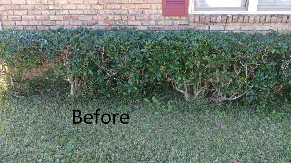 Top-rated outdoor landscaping experts serving Cantonment, FL - Flextreme Surfaces