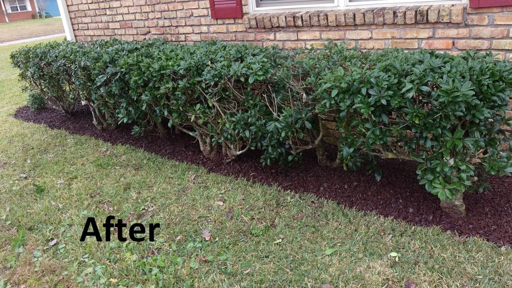 Professional lawn mowing service experts serving Cantonment, FL - Flextreme Surfaces