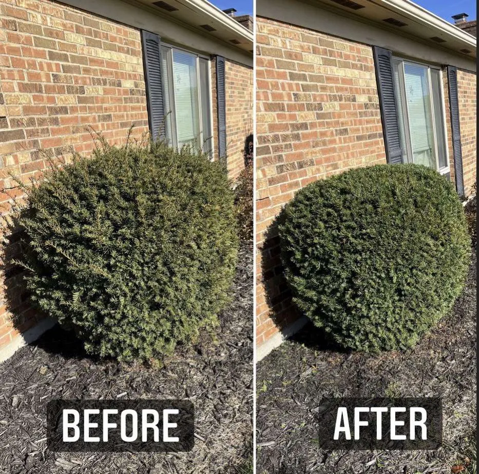 Custom landscaping services experts serving Vandalia, OH - Flight Power Washing & Lawn Care