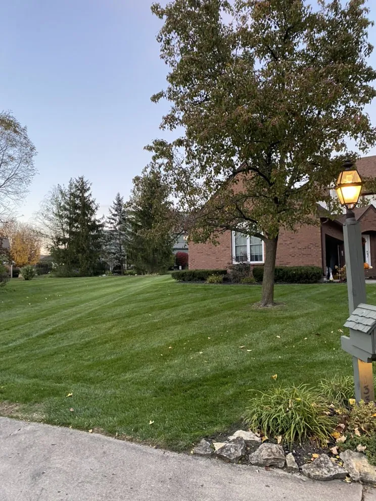 Reliable lawn care service near you in Vandalia, OH by Flight Power Washing & Lawn Care