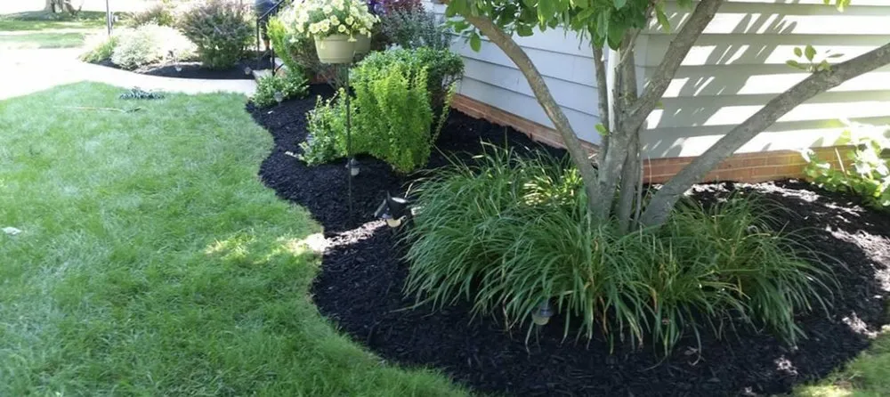 Reliable outdoor landscaping in Vandalia, OH - Flight Power Washing & Lawn Care
