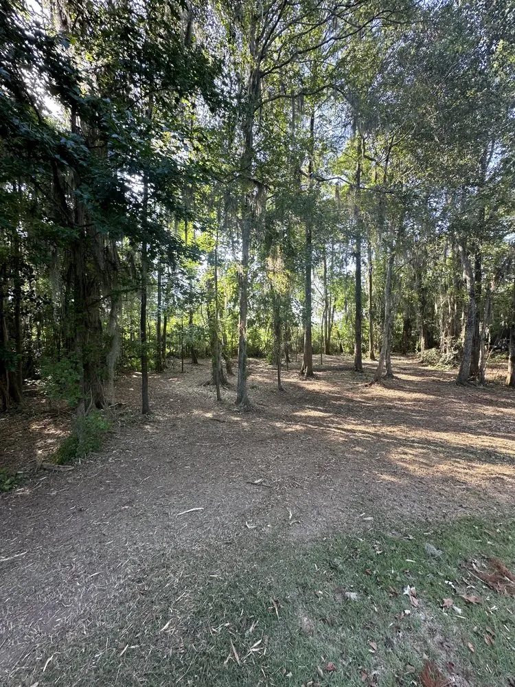 Trusted lawn care service for homes in Vienna, GA by Flint River Land Service