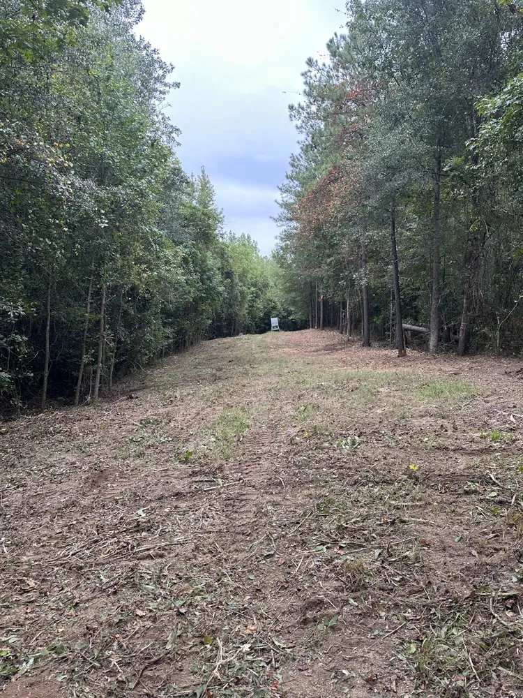 Top-rated residential landscaping with custom design in Vienna, GA by Flint River Land Service