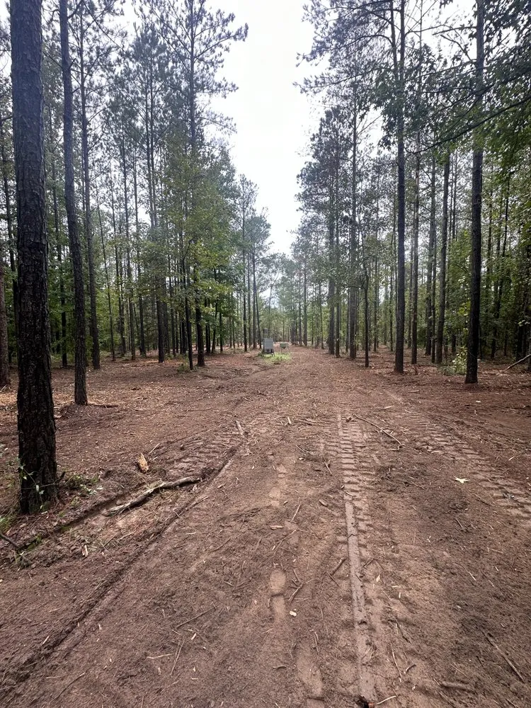 Trusted lawn care service for outdoor upgrades in Vienna, GA by Flint River Land Service