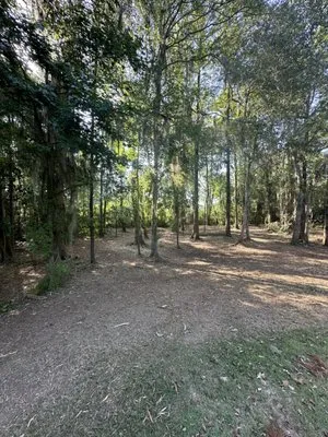 Flint River Land Service