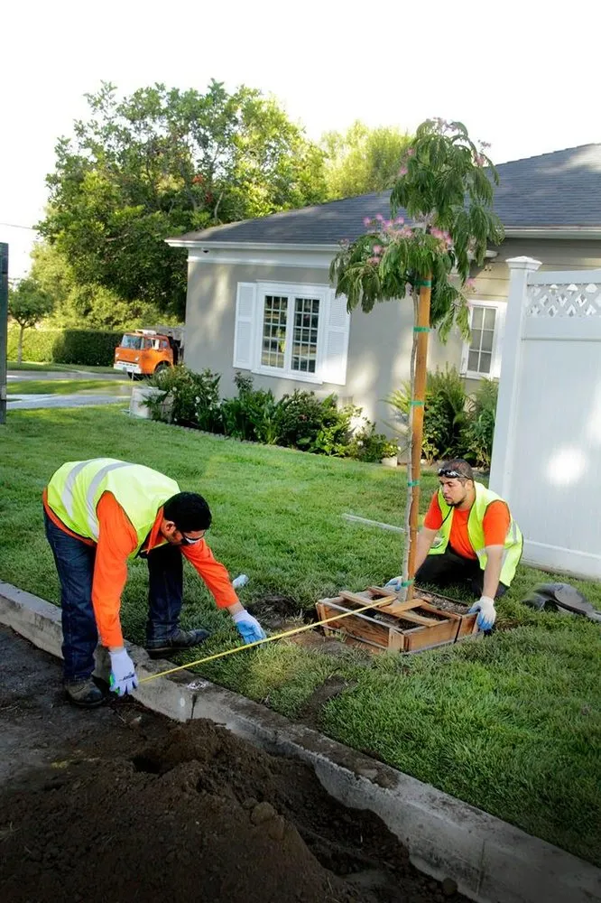 Local outdoor landscaping experts serving Pasadena, CA - Flintridge Tree Care