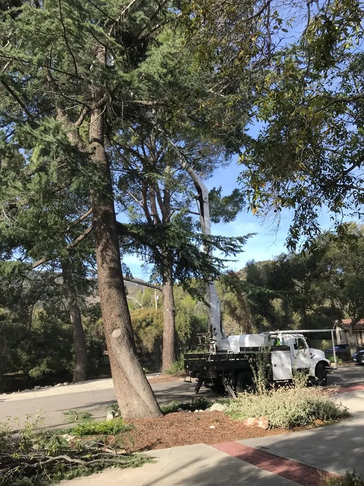 Professional lawn mowing service in Pasadena, CA by Flintridge Tree Care